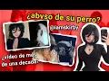 EL DE SKIRBY Y SUS PERROS - DESMENTIDO Resubido