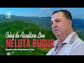 Download Lagu NELUTA BUCUR . Munte, munte, brad frumos | COLAJ | 𝓛𝒾𝓋𝑒