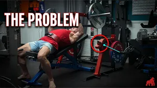 RitFit Gorilla Review What Nobody s Telling You Before You Buy