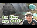 I built a vevor greenhouse in Florida