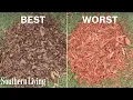 The Best and Worst Mulch for Your Garden Southern Living