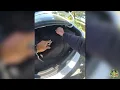 Deputies find 63lbs of marijuana during car search