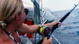 Catching Marlin Under Sail (short fishing clip)
