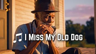  i miss my old dog delta kings blues