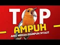 Download Lagu MACETAN PASTI NYAUT | ANIS MERAH GACOR INI 100% JITU UNTUK PANCINGAN ANIS MERAH MACET BIAR BUNYI |18