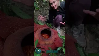 Beautiful world #sailing #travel #islandlife #sailinglife #family