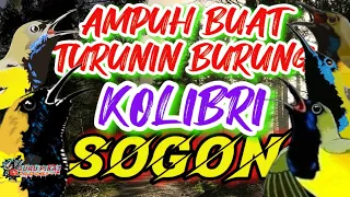 mp3 pikat sogon ampuh buat turunin burcil