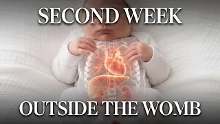 Your Baby's Second Week: Everything Happening Inside Their Body 👶🧠#WoowHoow