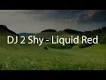 DJ 2 Shy - Liquid Red