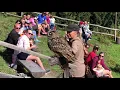 Elfenberg 2018