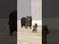Download Lagu Dancing Rat vs OIIA Cat 🗿 #shorts #babyduck