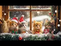 Download Lagu Kitten Christmas Traditions in different Countries | Cult of Kittens