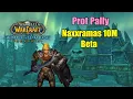 Naxxramas 10M Prot Pally PoV Wrath Classic Beta