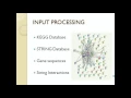 EEL 6825 PATTERN RECOGNITION MOTIF FINDING IN BIOLOGICAL NETWORKS