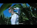 DREVO - Самолітом (Mood Video)