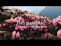 Tres palabras - Omara Portuondo [Letra en español]