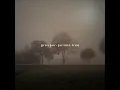 p o i s o n  t r e e🌿 [slowed + reverb]