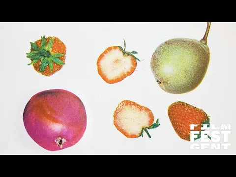 Rachel Portman (UK) x Diana Cam Van Nguyen (Czech Republic, Vietnam) - Dancing Fruit