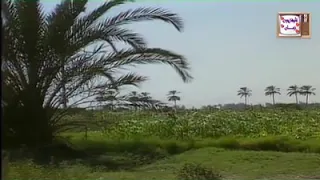 غوايش  غوايش