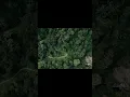 Download Lagu drone di hutan tanjakan sikut bromo