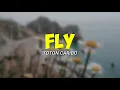 Download Lagu Toton Caribo - FLY (Lirik Musik) - Terbaru 2k21