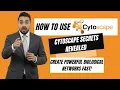 Cytoscape Full Tutorial 2026 Create Analyze Biological Networks Easily