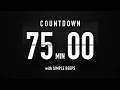 75 Minute Countdown Timer Flip Clock with Simple Beeps