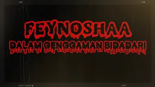 Download FEYNOSHAA - Dalam Genggaman Bidadari MP3