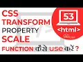How to use Scale Function Transform Property Learn CSS
