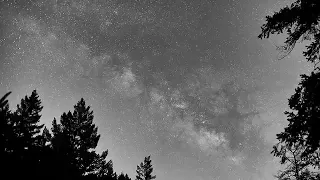 إدريس أبكر سورة المؤمنون 