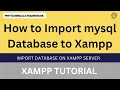 How to Import mysql Database to Xampp import database on xampp server