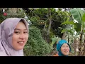 Lagu EXTRAORDINARY BEAUTY‼️ NENG ULPA, A WIDOW FROM GEMOY VILLAGE, FOLLOWED HER WHEN SHE DELIVERED BRE...