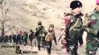 هيدي هيدي بارتي زان 