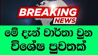 news today sinhala this is special news now jest now