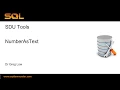 SDU Tools 81 Number As Text in T-SQL