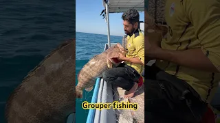 Grouper Fishing صيد Fish Fishinglife صید ماهی هامور با طعمه کرفه 