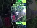 Download Lagu Kakum Canopy Walk