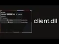self-made injectable dll client
