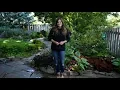 Tour of my Parent s Garden June 2018 Garden Answer