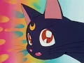 1 funny moment from every episode of Sailor Moon Season 1
