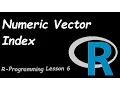 R Programming Numeric Index Vector
