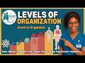 Human Biology Basics Organization Levels Homeostasis