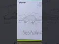 Duck bin platypus diagram easy drawing Zoology