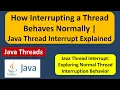 How Interrupting a Thread Behaves Normally Java Thread Interrupt Explained Java Threads