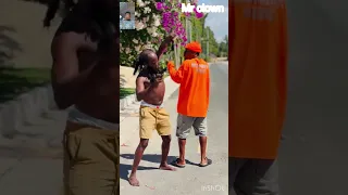                                                     دندنها