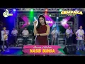 Download Lagu NASIB BUNGA Voc. Intan Afifah