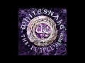 Download Lagu Whitesnake - The Gypsy | The Purple Album (05)