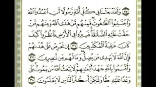 افامن الذين مكروا السيئات ان يخسف الله بهم الارض    خالدالجليل دندنها