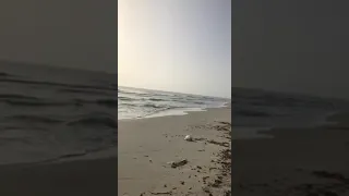 الفنان المرحوم وسيم الشاعري والفنان رجب البوسيفي دندنها