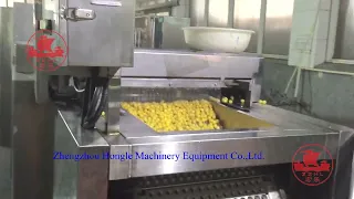 Fully automatic positioning fruit pitting machine production line